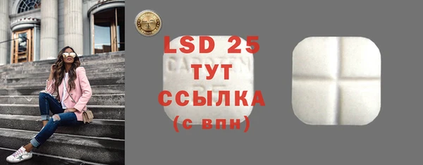 ГАЛЛЮЦИНОГЕННЫЕ ГРИБЫ Алзамай