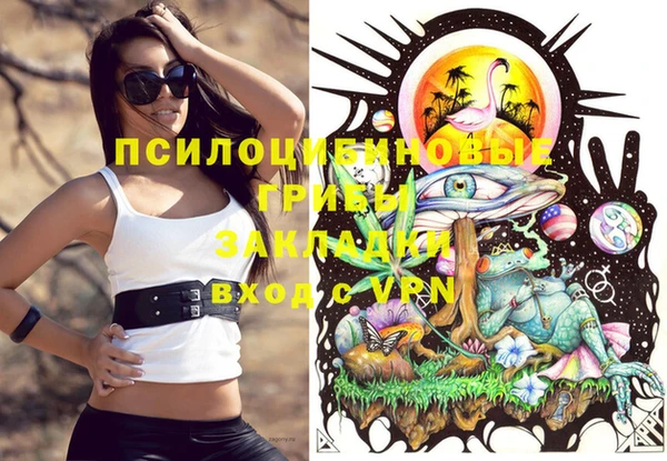 ГАЛЛЮЦИНОГЕННЫЕ ГРИБЫ Алзамай