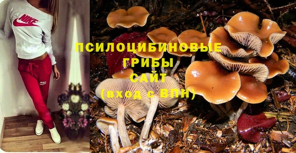 гидра Алексин